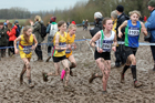 Girls under-13s 2018 British Inter Counties Cross Country Champs., Prestwold Hall, Loughborough. Photo: David T. Hewitson/Sports for All Pics